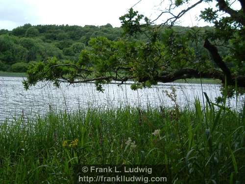 Lough Gill